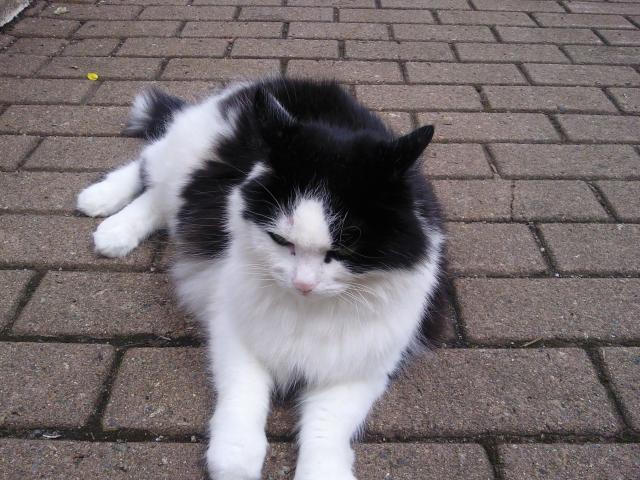 Foto0338.jpg