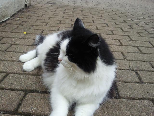 Foto0339.jpg